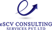 eSCV Consulting